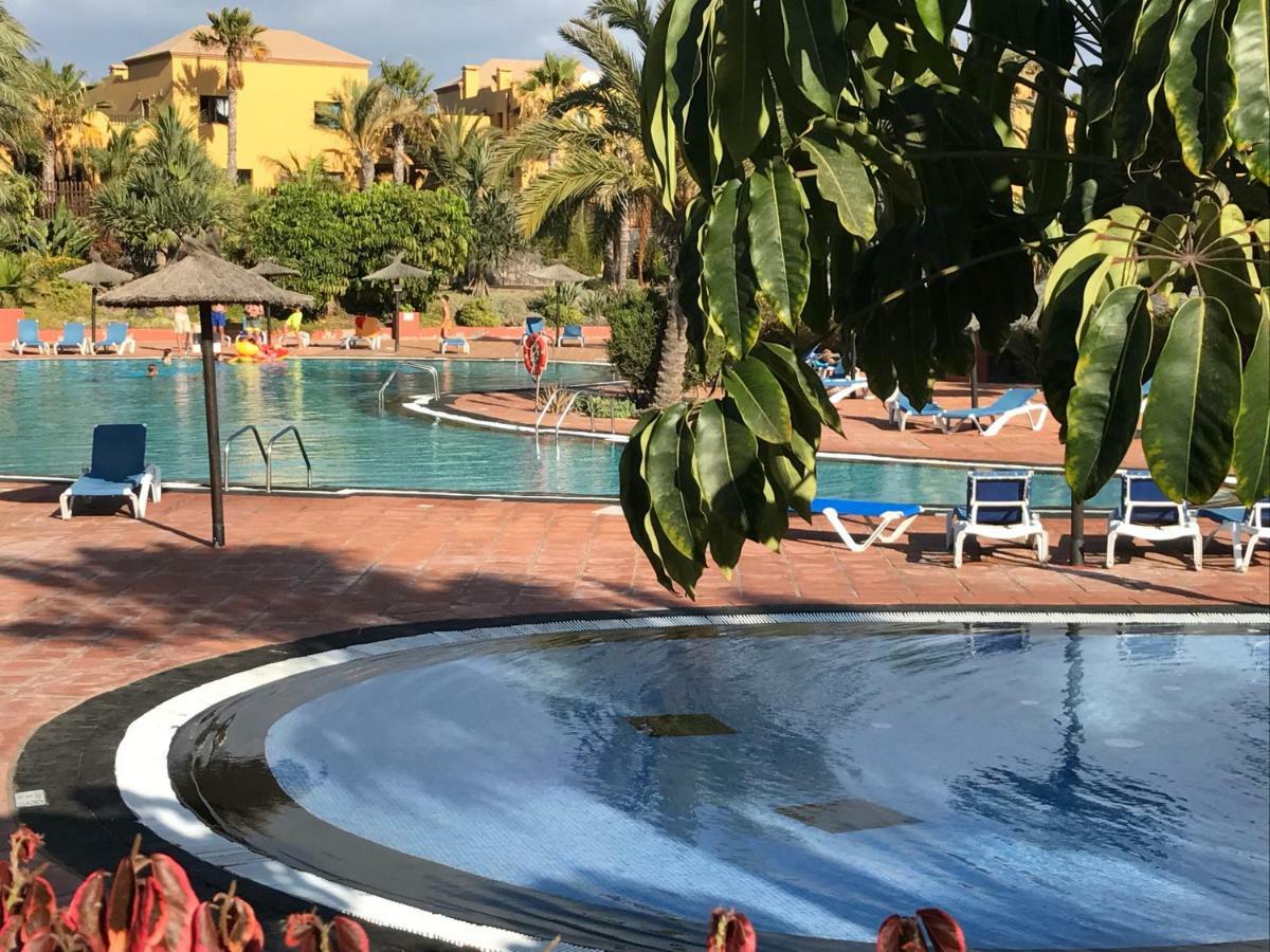 Tropical Garden Retreat: Private Terrace & Pool Oasis Apartment Corralejo Exterior photo