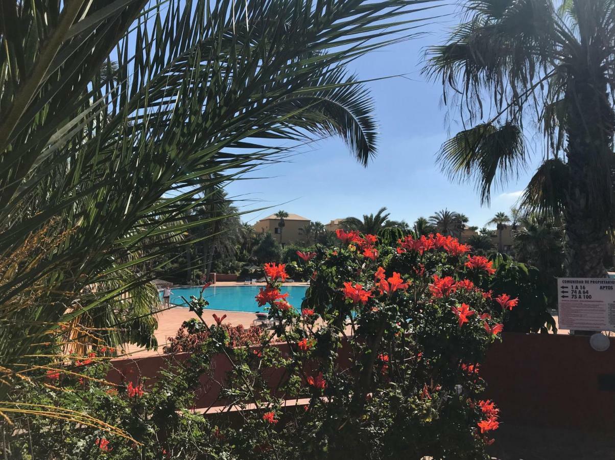 Tropical Garden Retreat: Private Terrace & Pool Oasis Apartment Corralejo Exterior photo